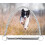 Dog Training Whistle, Ultrasonic for Bark Control, Adjustable Pitch 3