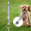 Dog Training Whistle, Ultrasonic for Bark Control, Adjustable Pitch 2