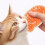 Smart massage electric deshedding tool for pet training, beige 2