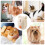 Smart massage electric deshedding tool for pet training, beige 3