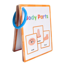 Body Parts Pocket Card, 15Piece Flash Card for Preschool Kids