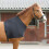 Horse protector antirub bib, portable 4