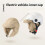 Winddichte Thermokappe mit Ohrenschutz für-Khaki 5