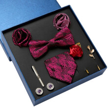 9PCS Fashion Men Tie Set with Pocket Square Tie Clip-LB178