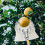 Fruit Tree Harvesting Tool Metal Fruit Harvester Head White Auxiliary Tools Collection Fruit Picker Head 5