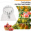Fruit Tree Harvesting Tool Metal Fruit Harvester Head White Auxiliary Tools Collection Fruit Picker Head 2