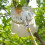 Fruit Tree Harvesting Tool Metal Fruit Harvester Head White Auxiliary Tools Collection Fruit Picker Head 4