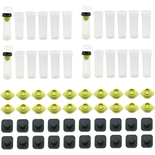 Queen Bee Protective Cover Plastic Beekeeping Queen Cup Kit, 50 Pcs, Roller Cage Back Cup Holder, Beekeeping Tools 2