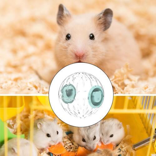 Hamster Ball Running Wheel Exercise for Hamsters Gerbils Small Pets 2