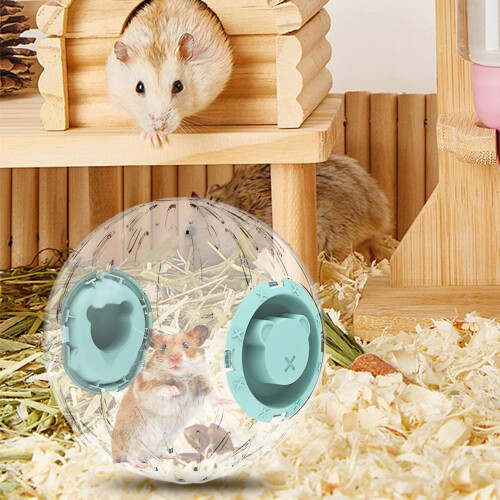 Hamster Ball Running Wheel Exercise for Hamsters Gerbils Small Pets 1