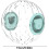 Hamster Ball Running Wheel Exercise for Hamsters Gerbils Small Pets 5