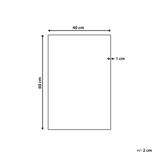 Beliani Wall Mirror ANGERS 40 cm 60 cm Silver 2