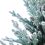 Beliani Artificial Snowy Christmas Tree RINGROSE 90 cm Green 4