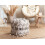 Beliani Pouffe THONDI Cotton Beige 4