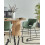 Beliani Set of 2 Dining Chairs AXTEL Fabric Green 5