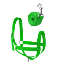 Cattle head halter, calf halter with lead rope, adjustable nylon halter, for miniature horses, donkeys, goats, foals, medium green