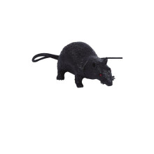 Black rat latex