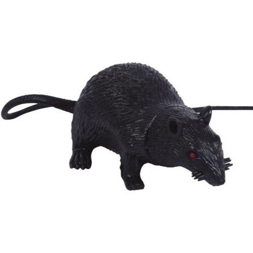 Black rat latex 2