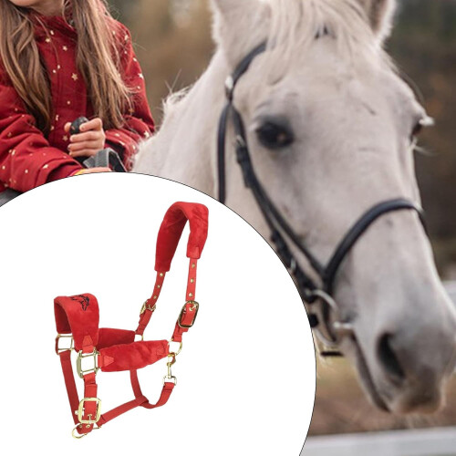 Horse Halter for Effective Training on the Riding Area, Red, M 2
