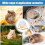Funny Racing Mouse Wheel, breathable exercise wheels for small animals, easytoclean 5