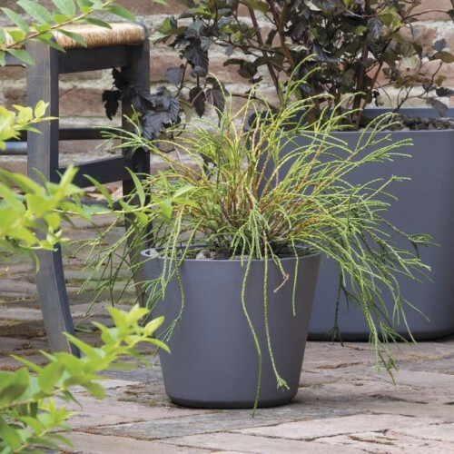 DEROMA Blumentopf Origin - 29 x 24 cm - 11 L - Grau 1