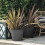 DEROMA Blumentopf Origin - 48 x 40 cm - 49 L - Anthrazit 2