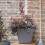 DEROMA Blumentopf quadratisch Origin - 28 x 23,5 cm - 12 L - Grau 2