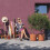 DEROMA Blumentopf Origin - 57,5 x 48 cm - 85 L - Mit Rollen - Terrakotta 2