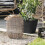 DEROMA Blumentopf quadratisch Origin - 28 x 23,5 cm - 12 L - Anthrazit 3
