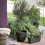 DEROMA Blumentopf Origin - 38 x 32 cm - 24 L - Anthrazit 4