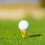 Golfs Tees Holder For Putting Greens Lightweight Base Practice Tool Tee Sign 2
