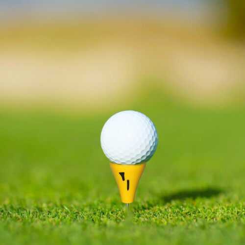 Golfs Tees Holder For Putting Greens Lightweight Base Practice Tool Tee Sign 1