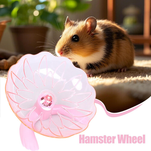 Mouse Wheel – Quiet Hamster Exercise Wheels, Sturdy, Transparent 1