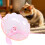 Mouse Wheel – Quiet Hamster Exercise Wheels, Sturdy, Transparent 5