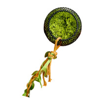 Compacts Magnetic Geckoes Habitat Climbing Shelter With