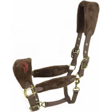 Beginner Padded Fleece Headband Halter Horse Halter Adjustable Coffee L