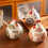 Chicken Themed Ceramic Condiment Jar Includes Sealing Cover-Red 2