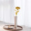 Preserved Real Rose, Hand-Dipped In 24K Gold, Symbolizing Forever Love And Commitment 4