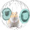 Hamster Exercise Ball, Transparent Running Wheel for Pets, Spacious Design 5