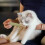Interactive Cats Chew Toy With Natural Hand Rolled Catnips Stick 2