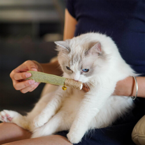 Interactive Cats Chew Toy With Natural Hand Rolled Catnips Stick 1