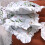Housse de coussin en velours lavable, taie d'oreiller à fleurs-3 6