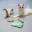 Interactive Cats Chew Toy With Natural Hand Rolled Catnips Stick 7