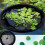 Quick Setups Pond Plant Guard Island Shield System Flexible-45 2