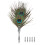 Σετ στυλό Quill, στυλό Peacock Feather, μοναδικές υφές, εκλεπτυσμένη επιμεταλλωμένη ράβδος 2