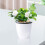 Thickened PVC Plant Watering Devices Automatic Drip Less-White 3