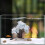 Snowflake Pine Tree Aquarium Ornament-389 04 16 fork pink 2