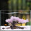 Snowflake Pine Tree Aquarium Ornament-389 06 54 fork pink 7