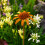 Traditional Container Outdoor Feature Stake Nature Aware 2