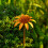 Traditional Container Outdoor Feature Stake Nature Aware 4